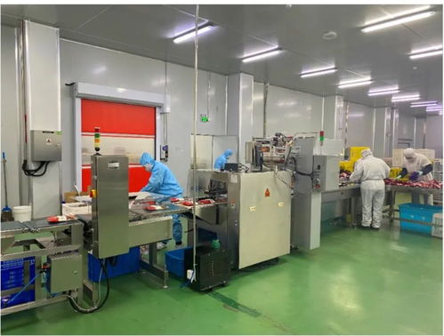 陣容強(qiáng)大，明天再聚青島 金融服務(wù)的新征程