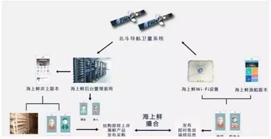 消費升級推動海鮮市場品牌化運營與金融服務(wù)融合（下）